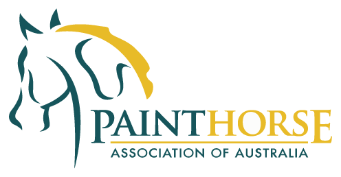 (c) Painthorse.com.au
